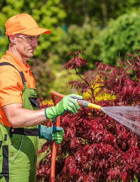 Landscaping Services in Qatar