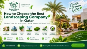 How to Choose the Best Landscaping Company in Qatar